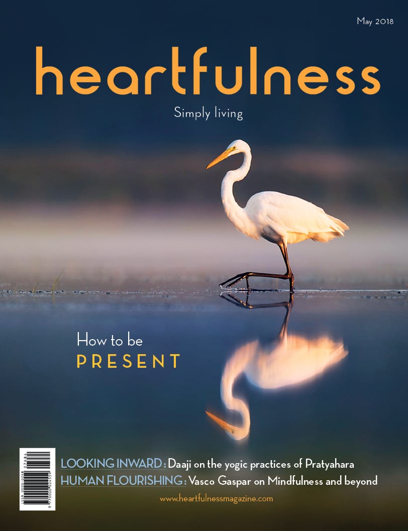 HFN Magazine